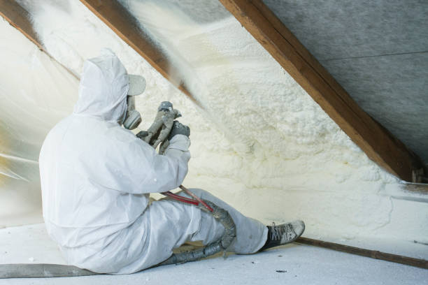 Best Basement Insulation  in Terryville, NY